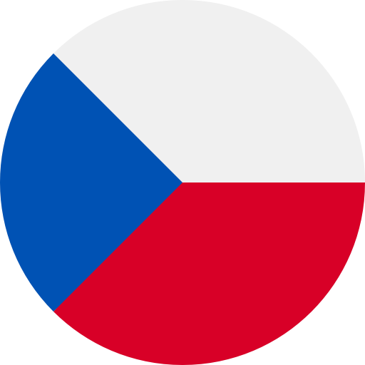 cz language flag icon